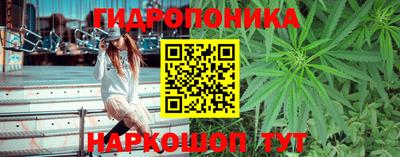 мдма Гай
