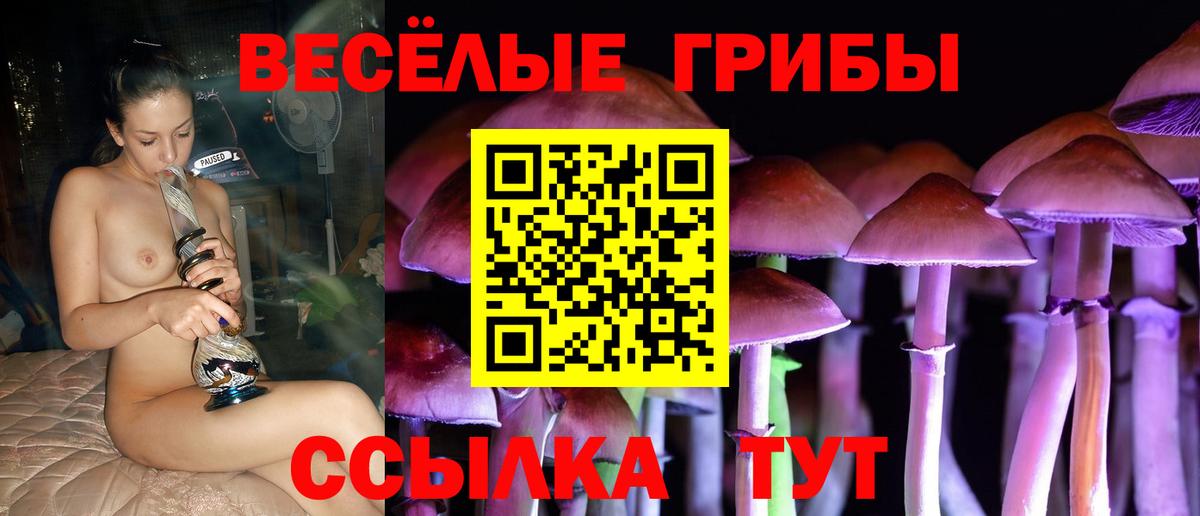 Галлюциногенные грибы ЛСД  Вход с VPN  Галлюциногенные грибы мицелий  Семёнов 